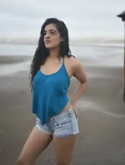 Working Girl rudrapur call girl